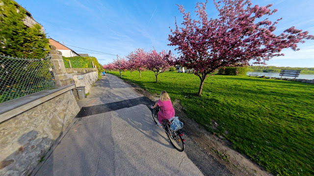 9 Ý TƯỞNG SÁNG TẠO CÙNG INSTA360 X4 35 Sequenz 02.00 01 56 25.Standbild009