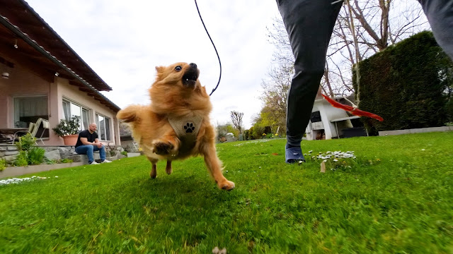 9 Ý TƯỞNG SÁNG TẠO CÙNG INSTA360 X4 43 Sequenz 02.00 06 13 03.Standbild023