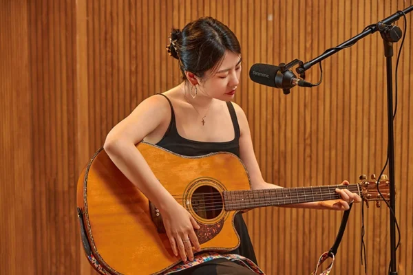 5 LẦM TƯỞNG THƯỜNG GẶP VỀ MICROPHONE DYNAMIC VÀ CONDENSER 6 dynamic