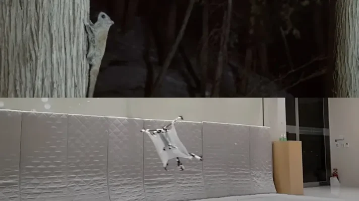 awNJJGfuG8ALbYzQy9ocbG 970 80.jpg