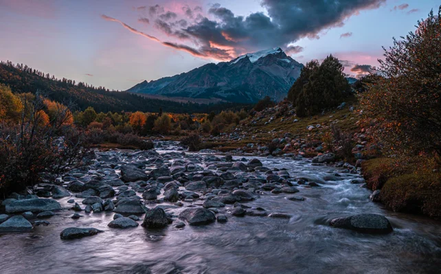 TRIPOD VỚI GIMBAL: CHỌN CÁI NÀO CHO NHU CẦU QUAY VIDEO 9 4 93bf4194 ee70 4a21 a525 917177be5edf 1024x1024