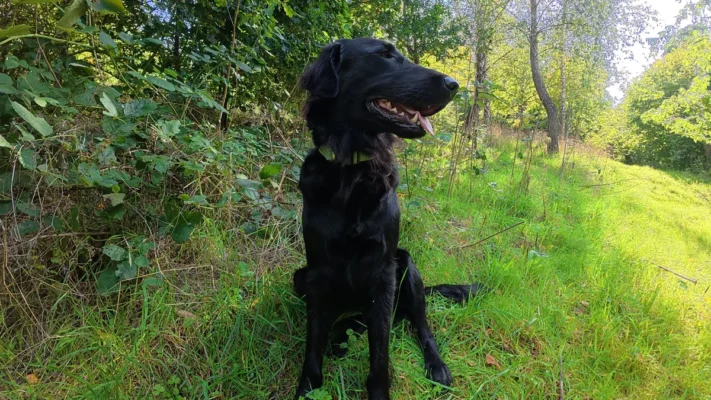 SO SÁNH DJI OSMO NANO VÀ INSTA360 GO ULTRA 13 GTxbbSnhEwuFaGFJj7kXY3 1200 80.jpg